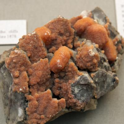 Botroidal Aragonite? (Calcite) Botallack Mine, St Just-in-Penwith