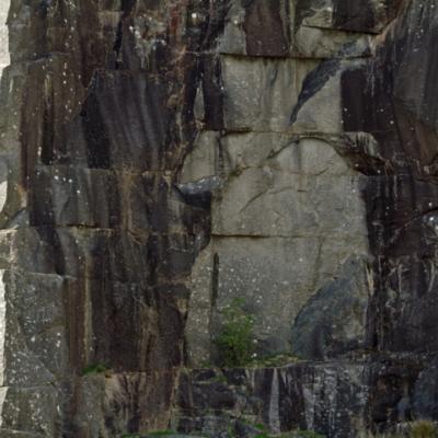 Cheesewring Quarry, Cornwall